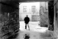 dvor