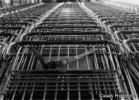 shopping trip