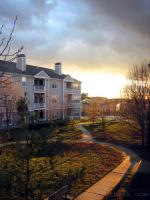 late evening light